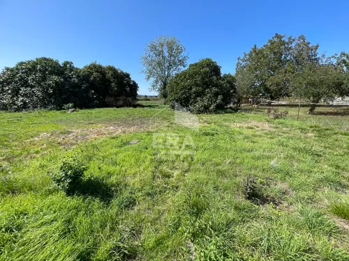 Photo 1 bien ref2640