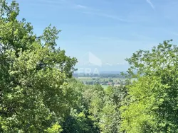 Photo du bien